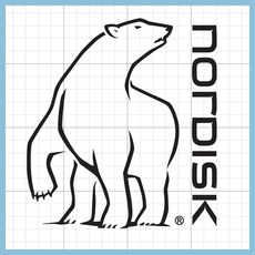 캠핑스티커 노르디스크 NORDISK 곰 로고 아이스박스리폼 감성캠핑 [스티커스텀], 골드(미러), 25cm x 27cm